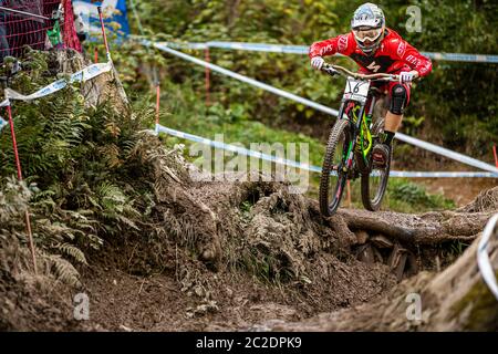 LEOGANG, AUSTRIA - 22 SETTEMBRE 2013. Troy Brrosnan (AUS) per il Team specializzato nella Coppa del mondo UCI Mountain Bike Downhill Foto Stock