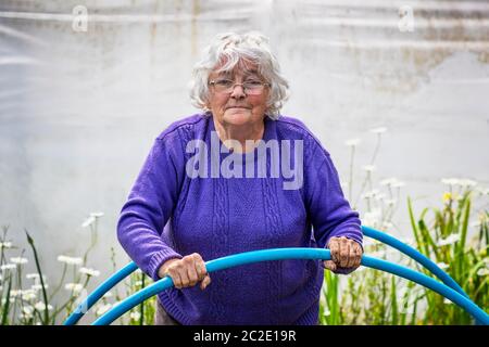 Christine Jeffers, sulla sua trama, (Plot 17), a Eglinton Growers, Allotments, Kilwinning, Ayrshire, Scozia, Regno Unito Foto Stock