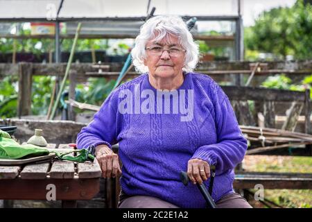 Christine Jeffers, sulla sua trama, (Plot 17), a Eglinton Growers, Allotments, Kilwinning, Ayrshire, Scozia, Regno Unito Foto Stock