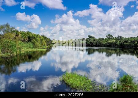 Deer Prairie Creek a Deer Creek Prairie preservare in Florida Venezia Foto Stock