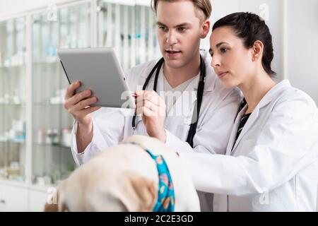 Veterinario maschile e femminile utilizzando tablet digitale in clinica Foto Stock