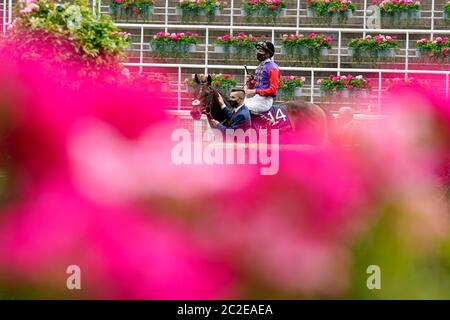 James Doyle indossa i colori della regina Elisabetta II torna al recinto dei vincitori dopo aver cavalcato Tactical per vincere i Windsor Castle Stakes durante il secondo giorno di Royal Ascot all'ippodromo di Ascot. Foto Stock