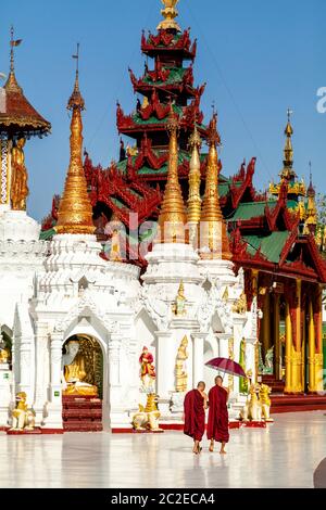 Monaci buddisti alla Pagoda Shwedagon, Yangon, Myanmar. Foto Stock