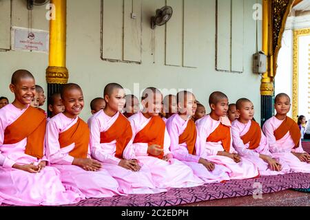 Un gruppo di Thilashin (Nunni novizi) alla Pagoda Shwedagon, Yangon, Myanmar. Foto Stock