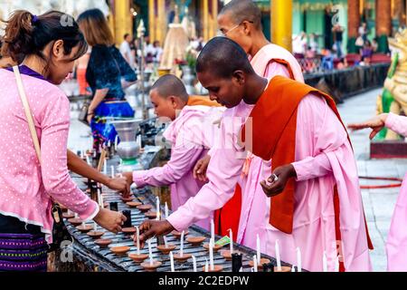 Un gruppo di Thilashin (Nunni novizi) illuminazione candele alla Pagoda Shwedagon, Yangon, Myanmar. Foto Stock