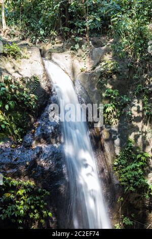 Vista della cascata e verdastra paesaggio forestale, foresta pluviale nel paesaggio di Bali Foto Stock