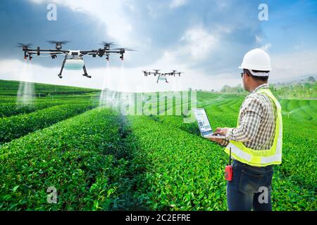 Il tecnico agricoltore usa wifi il controllo del computer agricoltura drone fly di fertilizzante spruzzato sul tè verde campi, Smart farm 4.0 concetto Foto Stock