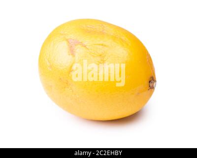 Limone guastato isolato su sfondo bianco Foto Stock