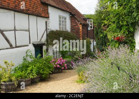 Guildford, Inghilterra - Agosto 2, 2019: imbiancate a calce e piastrella Cottage a Shere nel Surrey. Foto Stock