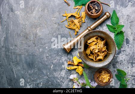 Malta e ciotola di materie ed essiccato alle erbe curative.naturale assortiti di erbe mediche Foto Stock