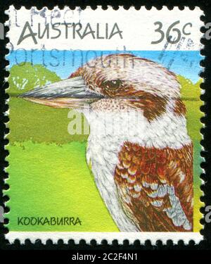 AUSTRALIA - CIRCA 1986: Francobollo stampato dall'Australia, mostra Kookaburra, circa 1986 Foto Stock