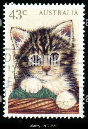 AUSTRALIA - CIRCA 1991: Francobollo stampato dall'Australia, mostra gattino, circa 1991 Foto Stock