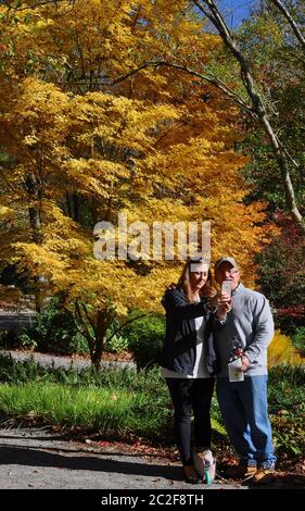 Canton, GA-circa novembre 2019: Coppia prende un selfie di fronte a un giallo dorato Acer Maple giapponese come sfondo Foto Stock