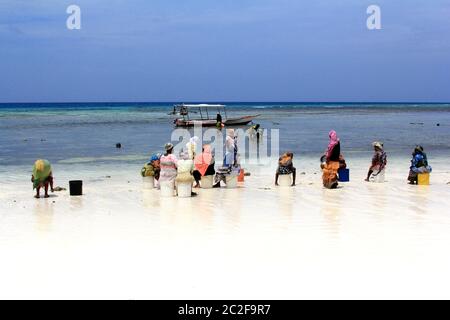 Donne africane in abito tradizionale sulla spiaggia del villaggio di Nungwi Foto Stock