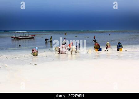 Donne africane in abito tradizionale sulla spiaggia del villaggio di Nungwi Foto Stock
