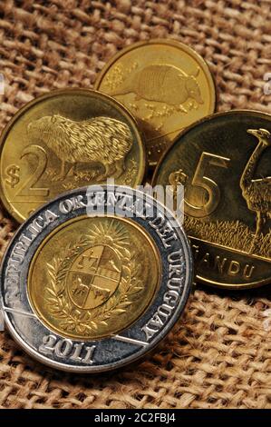 Monete di peso uruguaiane Foto Stock