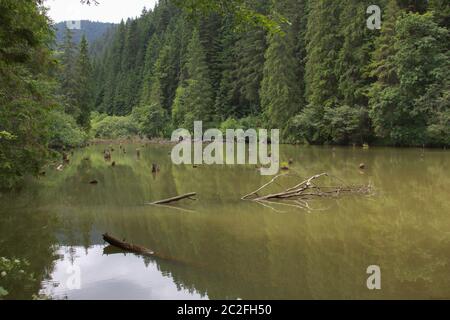 Lago Lacu Rosu in Transilvania, Romania. Lacu Rosu è una destinazione turistica molto apprezzata in Romania, vicino a Cheile Bicazului e ai monti Ceahlau. Rosso la Foto Stock