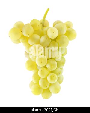Appeso mazzo di uve bianche isolate su sfondo bianco Foto Stock