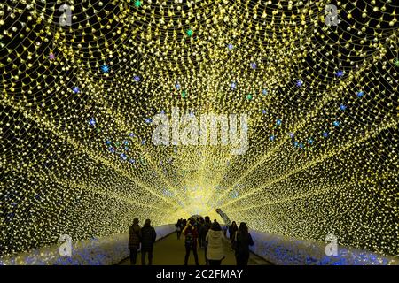 Nabana No Sato illuminazione invernale a Mie in Giappone. Foto Stock