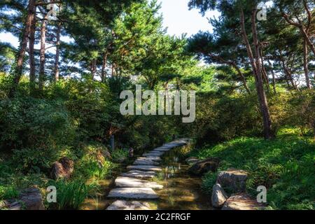 i pini allineano il piccolo ruscello con scalini in pietra in giardino semivinito. Preso a Yangpyeong, Corea del Sud. Foto Stock