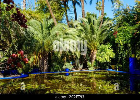 MARRAKECH, MAROCCO - CIRCA APRILE 2018: Laghetto e palme al Jardin Majorelle di Marrakech Foto Stock