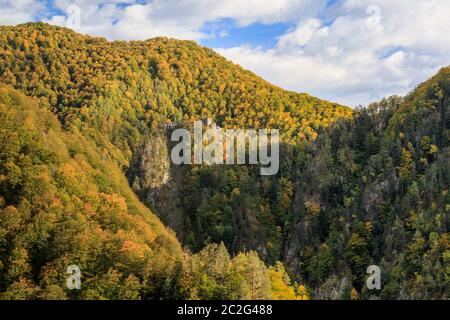 Rovinato fortezza Poenari sul Monte Cetatea in Romania Foto Stock