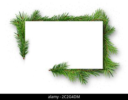 Telaio con ramoscelli di conifere su sfondo bianco Foto Stock
