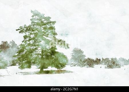 paesaggio invernale con un pino dipinto digitale acquerello Foto Stock