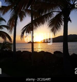 Tramonto incredibile a Curtain Bluff, Antigua, Caraibi - palme e calmo mare guardando il sole scendere nella vacanza migliore Foto Stock