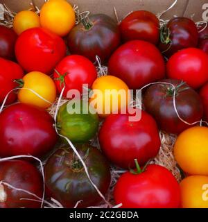 Bel mercato all'aperto a Nizza, Francia che vende una vasta gamma di prodotti, da frutta e verdura, all'arte, saponi e fiori sorprendenti Foto Stock