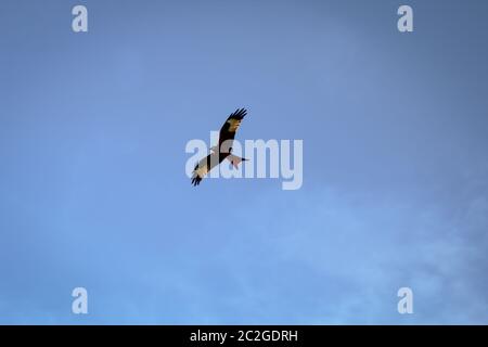 Una Milano disegna i suoi cerchi nel cielo Foto Stock