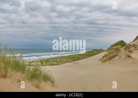 Il mare ed il paesaggio vicino la città di Skagen in Danimarca. Foto Stock