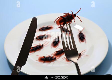 Insetti su un plate.Insects come alimento o insetti commestibili sono specie di insetto usate per il consumo umano intero o come ingrediente in alimenti trasformati. Foto Stock