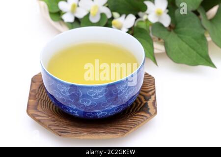 Houttuynia cordata tè, dokudami sano bere, su sfondo bianco Foto Stock