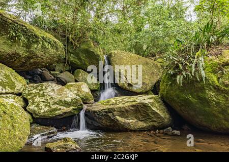 Piccola cascata tra la vegetazione della foresta pluviale dell'isola di Ilhabela Foto Stock