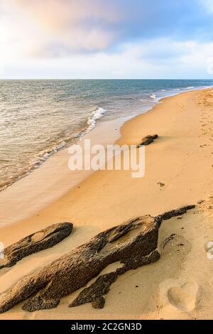 Spiaggia deserta e paradisiaca sull'Isola di Ilhabela nel tardo pomeriggio Foto Stock