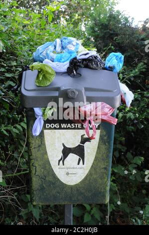 Traboccante cestino di rifiuti di cani nella corsia vicino a Bateman's, la casa di Rudyard Kipling da tempo vicino a Burwash, un villaggio nel Weald del Sussex orientale. Foto Stock