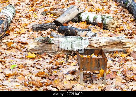 Dimenticato piccolo barbecue grill con cestino sul prato ricoperto da foglie cadute nel parco della città in autunno Foto Stock