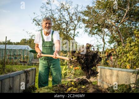 Senior giardiniere giardinaggio in suo permacultura, orto biologico Foto Stock