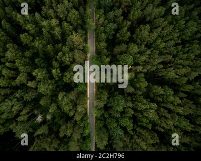 Strada asfaltata attraverso la foresta verde. Paesaggio estivo. Vista dall'alto. Foto drone. Foto Stock