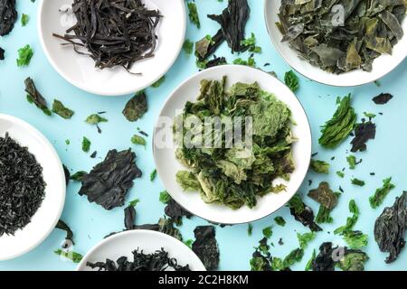 Asciugare le alghe, mare verdure, top shot su un sfondo di teal Foto Stock