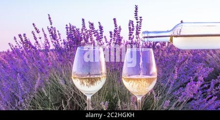 Vino di lavanda panorama. Vino bianco versata da una bottiglia in bicchieri contro un campo di lavanda sfondo Foto Stock