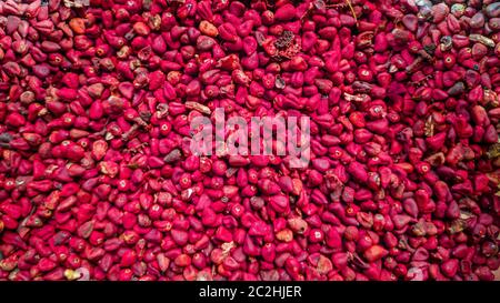 Grani di annatto, sfondo di Uruco, struttura. Foto Stock