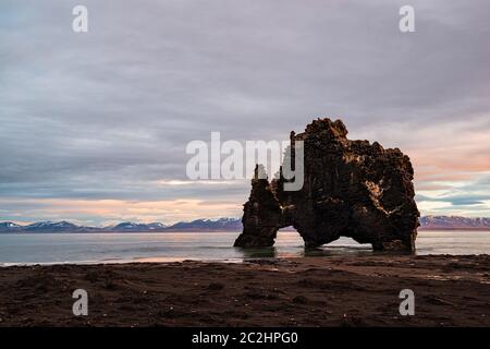 Hvitserkur la famosa roccia nell'oceano in Islanda all'alba Foto Stock