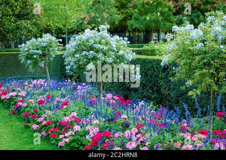 Fiori e fiori nei Jardin du Luxembourg, Parigi, Ile-de-France, Francia Foto Stock