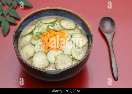 Zuppa di miso fredda di hiyajiru giapponese su sfondo rosso Foto Stock