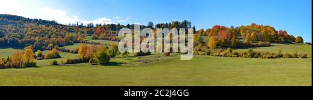 Colorata foresta d'autunno nel RhÃ¶n Foto Stock