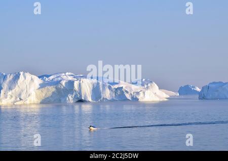 Boote vor den Eisbergen in der Diskobucht, Grönland Foto Stock