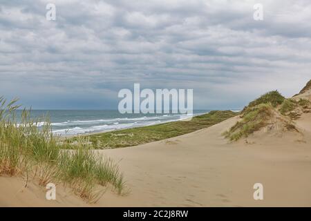 Mare e paesaggio vicino alla città di Skagen in Danimarca Foto Stock