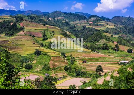Vista panoramica dei campi di riso nel distretto di Mu Cang Chai, provincia di Yen Bai, Vietnam del Nord Foto Stock